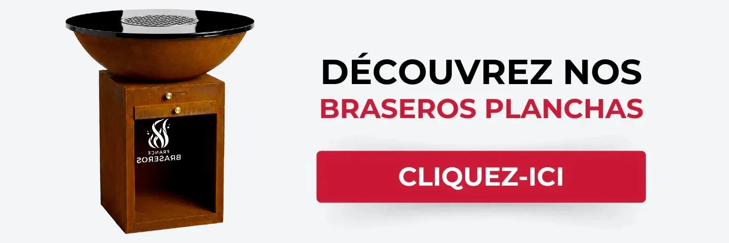 Gamme de Braseros plancha