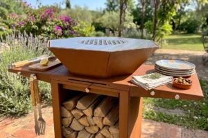 Guide et comparatif entre plaques de cuisson inox, émaillé et carbone pour brasero