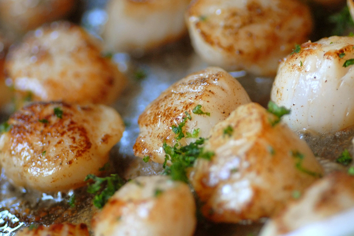Recette de noix de Saint-Jacques au brasero plancha : légumes grillées et sauce beurre citronné